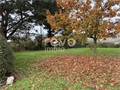 Photo numero 44896216 du bien GAR049935